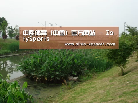 案例展示四(图1)
