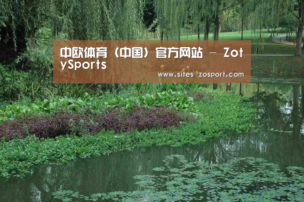 案例展示一(图1)
