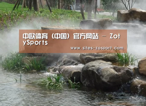 案例展示五
