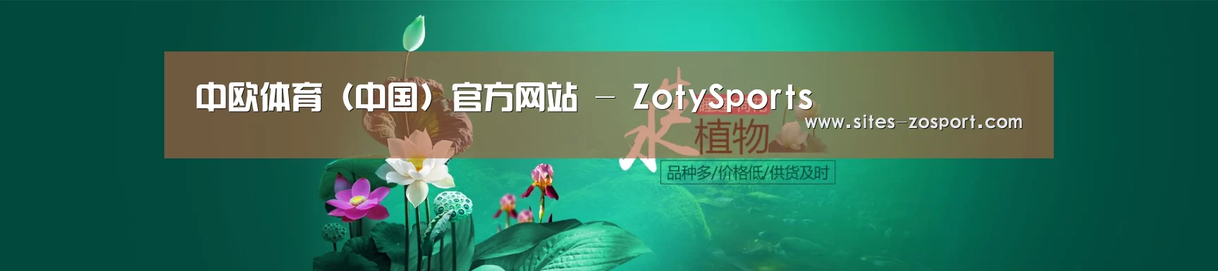 鲜花水草花卉网站模板