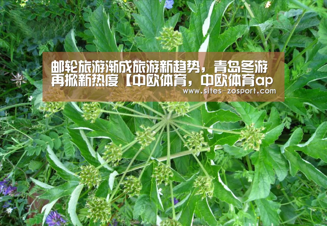 中欧体育，中欧体育app，中欧体育官网，中欧体育官网入口