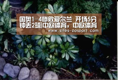中欧体育，中欧体育app，中欧体育官网，中欧体育官网入口