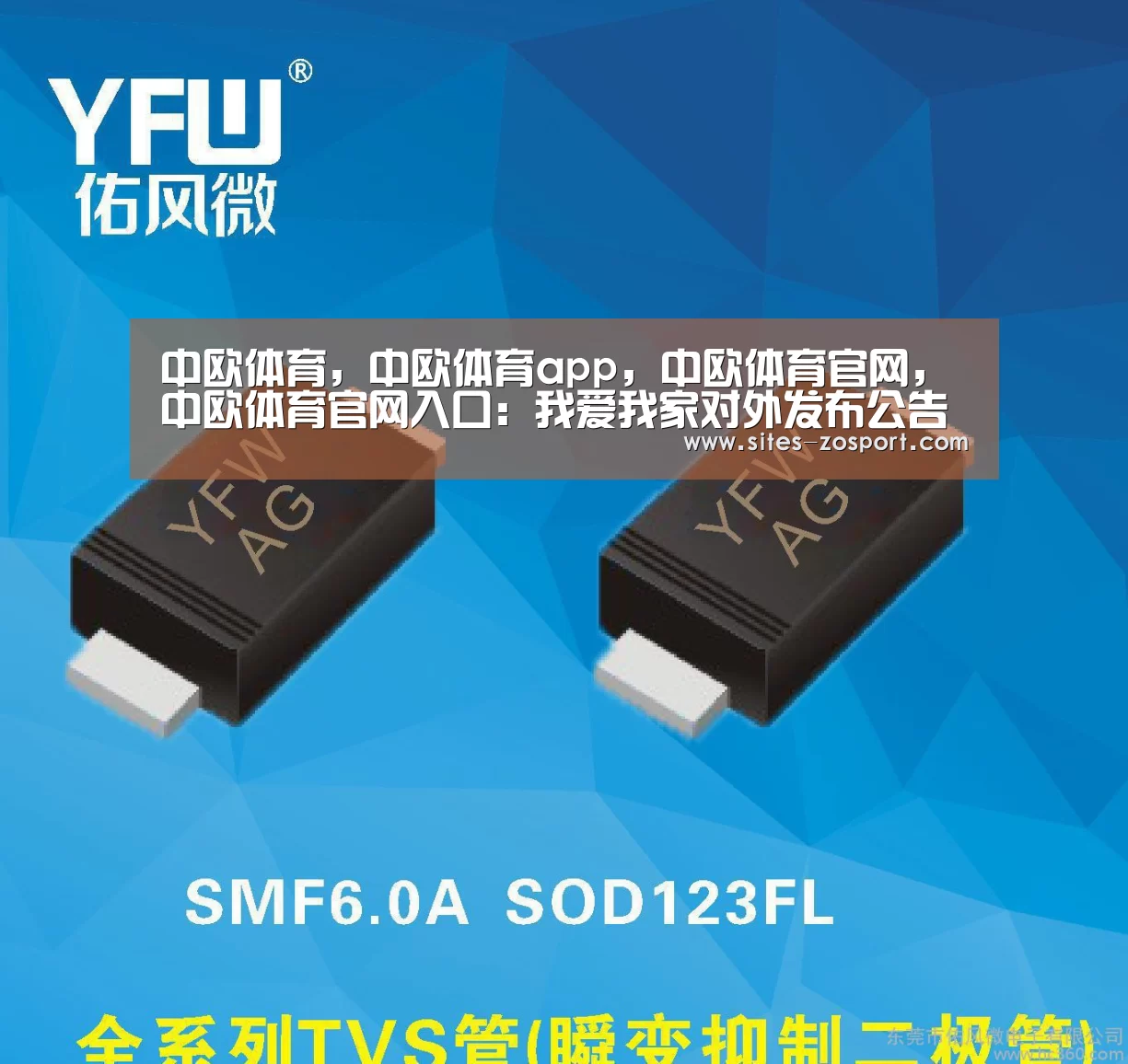 中欧体育，中欧体育app，中欧体育官网，中欧体育官网入口