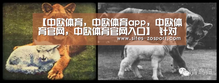 【中欧体育,中欧体育app,中欧体育官网,中欧体育官网入口】
针对中超+取世俱杯资格?全北新任总司理:2020赛季夺亚冠冠军(图4) 中欧体育,中欧体育app,中欧体育官网,中欧体育官网入口