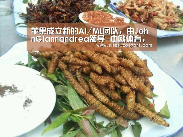 中欧体育，中欧体育app，中欧体育官网，中欧体育官网入口