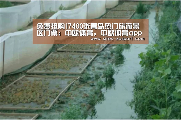 中欧体育，中欧体育app，中欧体育官网，中欧体育官网入口