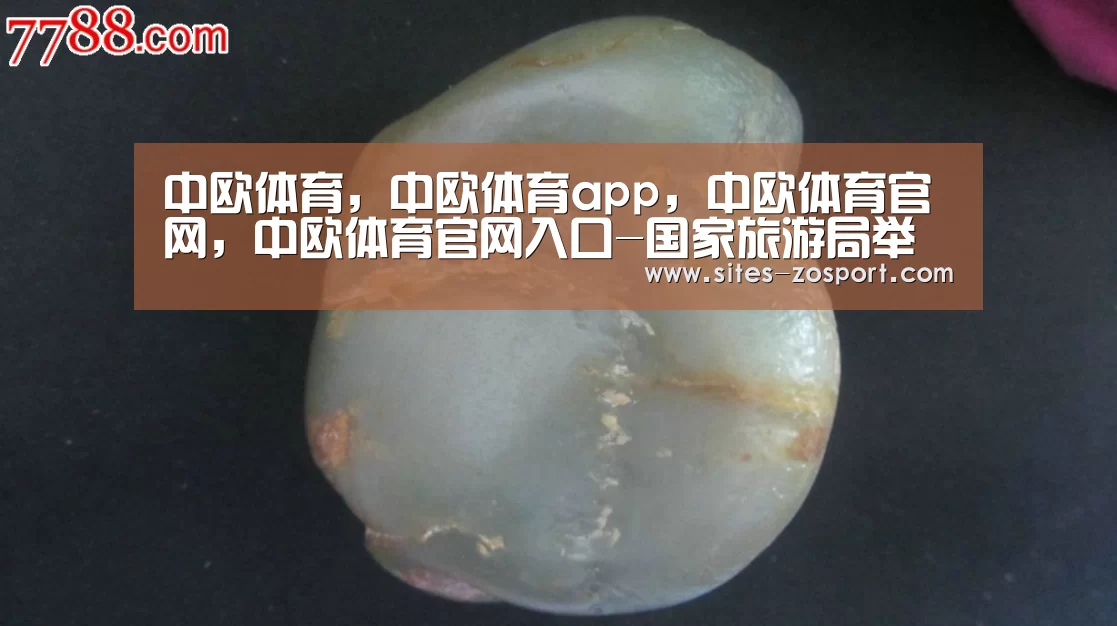 中欧体育,中欧体育app,中欧体育官网,中欧体育官网入口-国家旅游局举行首届世界旅游发展大会新闻发布会(图3) 中欧体育,中欧体育app,中欧体育官网,中欧体育官网入口