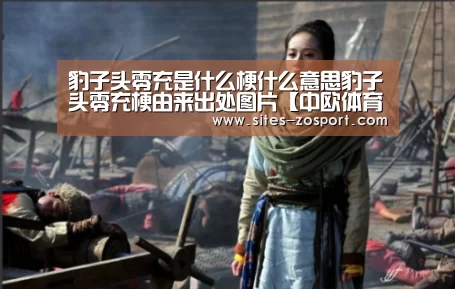 豹子头零充是什么梗什么意思豹子头零充梗由来出处图片【中欧体育,中欧体育app,中欧体育官网,中欧体育官网入口】(图2) 中欧体育,中欧体育app,中欧体育官网,中欧体育官网入口