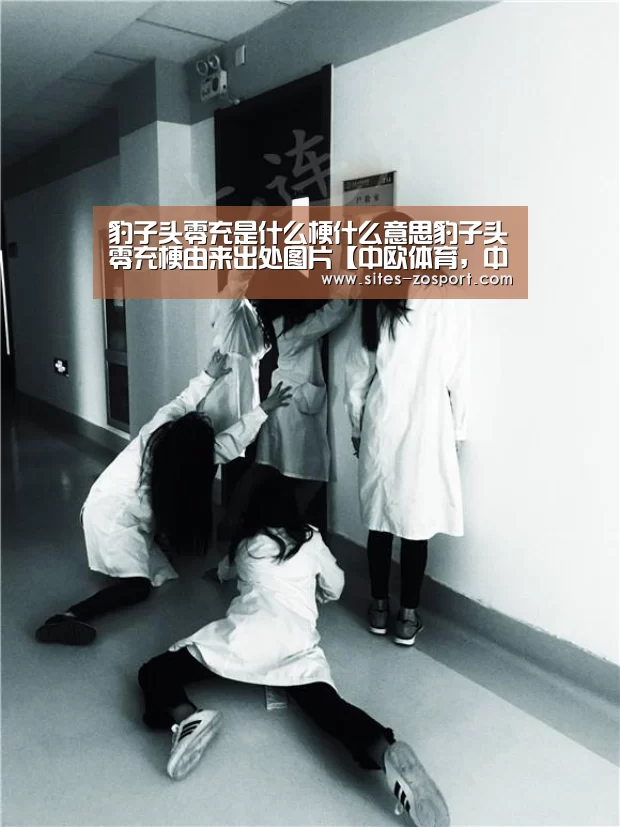 豹子头零充是什么梗什么意思豹子头零充梗由来出处图片【中欧体育,中欧体育app,中欧体育官网,中欧体育官网入口】(图1) 中欧体育,中欧体育app,中欧体育官网,中欧体育官网入口