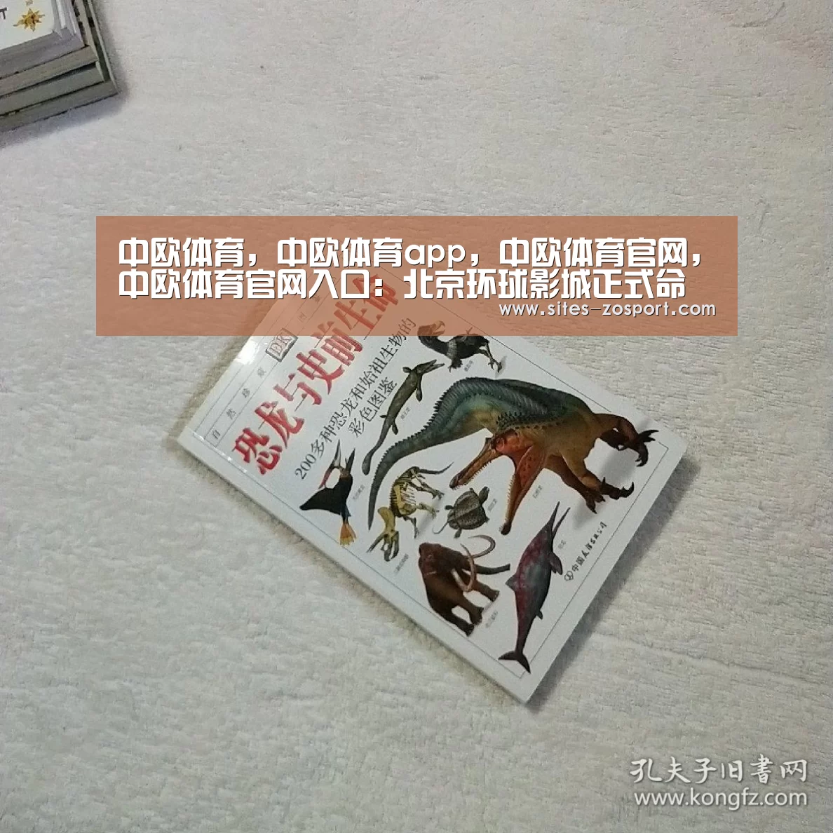 中欧体育，中欧体育app，中欧体育官网，中欧体育官网入口