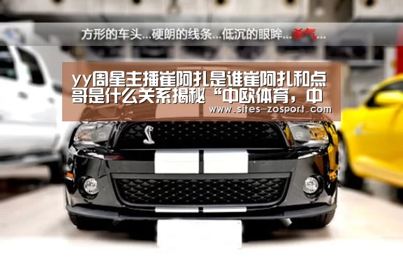 中欧体育，中欧体育app，中欧体育官网，中欧体育官网入口