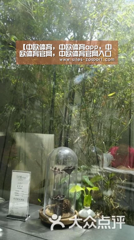 中欧体育，中欧体育app，中欧体育官网，中欧体育官网入口