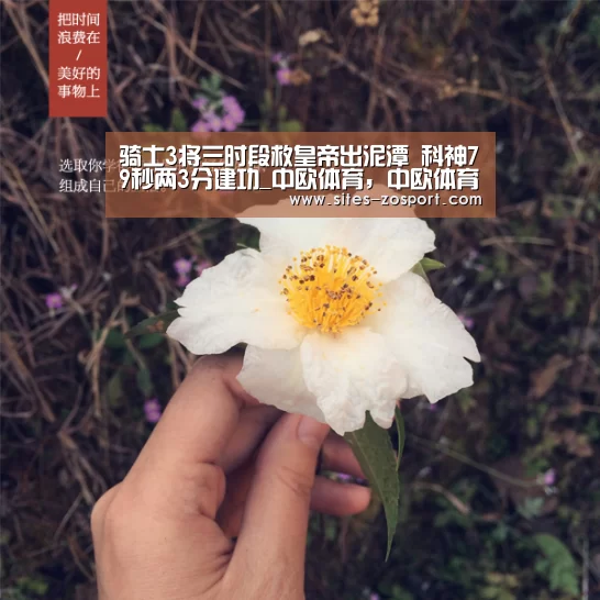 骑士3将三时段救皇帝出泥潭 科神79秒两3分建功_中欧体育,中欧体育app,中欧体育官网,中欧体育官网入口(图3) 中欧体育,中欧体育app,中欧体育官网,中欧体育官网入口