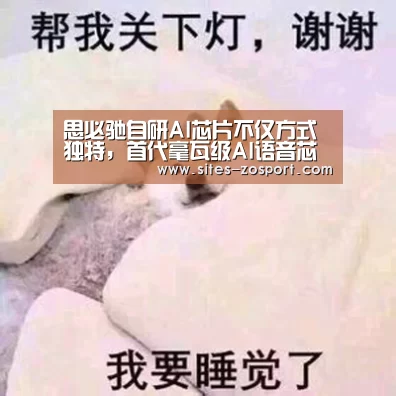 思必驰自研AI芯片不仅方式独特,首代毫瓦级AI语音芯片也仅用1年:中欧体育,中欧体育app,中欧体育官网,中欧体育官网入口(图1) 中欧体育,中欧体育app,中欧体育官网,中欧体育官网入口