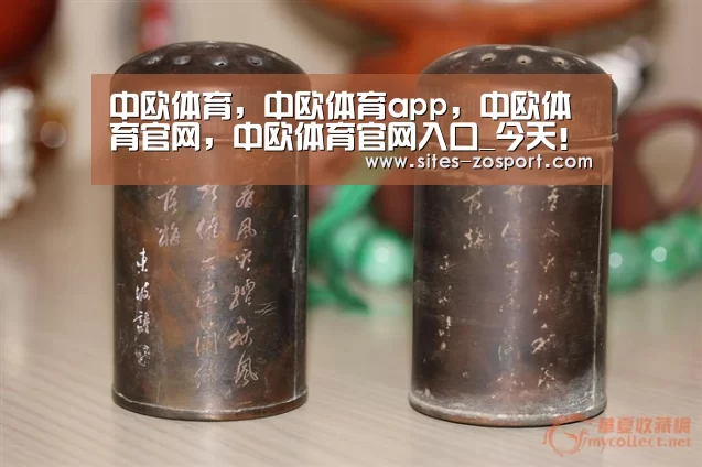 中欧体育,中欧体育app,中欧体育官网,中欧体育官网入口_今天!Adobe宣布Flash技术将于2020年底退役(图1) 中欧体育,中欧体育app,中欧体育官网,中欧体育官网入口