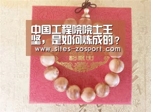 中国工程院院士王坚,是如何炼成的?|中欧体育,中欧体育app,中欧体育官网,中欧体育官网入口(图1) 中欧体育,中欧体育app,中欧体育官网,中欧体育官网入口